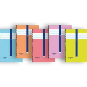 Marca Reconocida CUADERNO ERIGGAN 4º CARTON 40H 70GR 3MM COLORES SURTIDOS