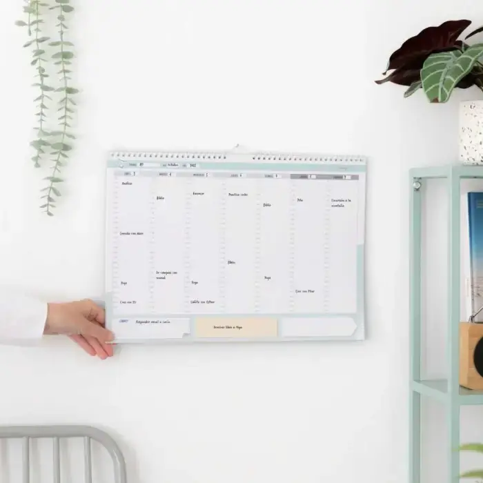 Promoción Exclusiva ORGANIZADOR SEMANAL POR HORAS - TODOS TUS PLANES