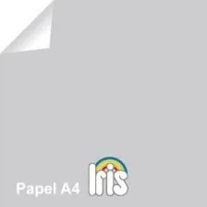 Promoción Exclusiva PAPEL REPRO IRIS A4 P/100H GRIS PERLA 140114