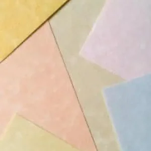 Promoción CUBIERTA REF. 9927 HUMO PARCHMENT 100 UND