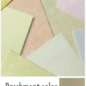 Económico CUBIERTA REF. 9923 ALBARICOQUE PARCHMENT A4