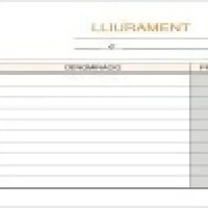 TALONARIO ENTREGAS 8º APAISADO DUPLICADO T-79 Moderno