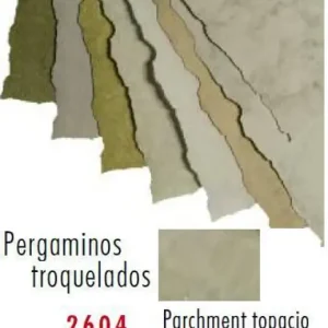 Descuento PERGAMINO REF. 2604 PARCH. TOPACIO 21X29.7CM 150GR