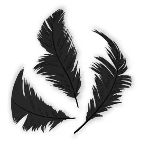 Última Oportunidad Plumón negro 75 mm