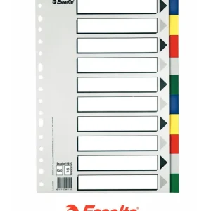 SEPARADOR PLÁSTICO ESSELTE A4 10 POSICIONES Comprar En Línea