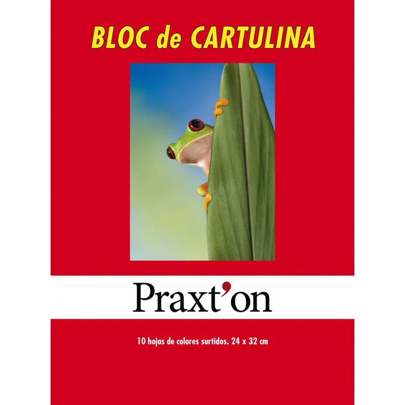 Cartulinas PRAXTON, Cuaderno x10 Hojas Surtidas Artesanal