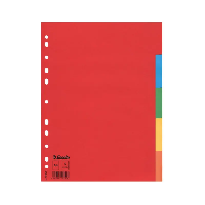 Solo Hoy SEPARADORES ESSELTE 5 POSICIONES