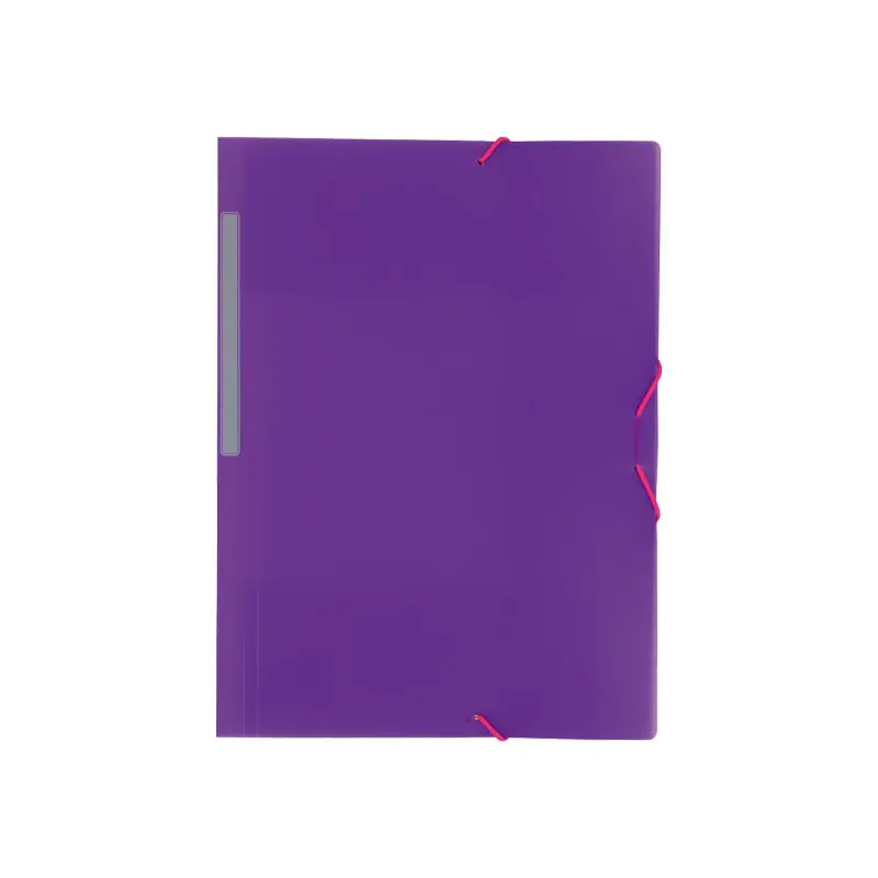 Ordena Ya CARPETA GRAFOPLAS CON SOLAPAS COLORGRAF - Violeta