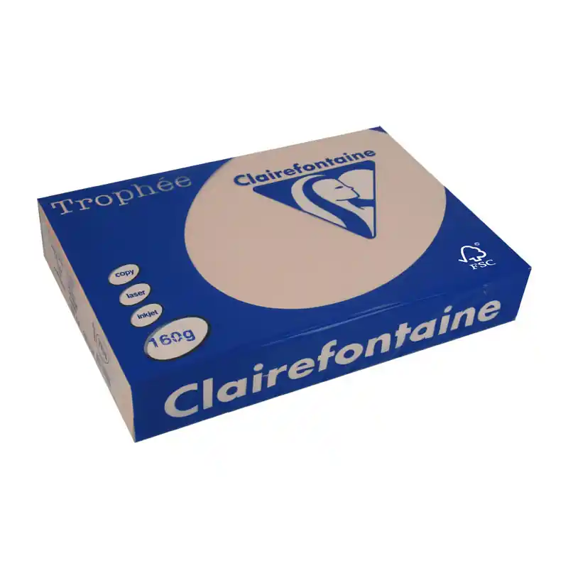 PAQUETE 250h PAPEL TROPHÉE CLAIREFONTAINE 160gr A4 PASTEL - Carne Novedad