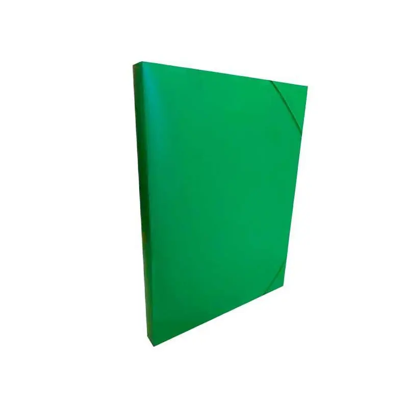 CARPETA DE GOMAS BLUERING PP A4 30mm - Verde Envío Exprés