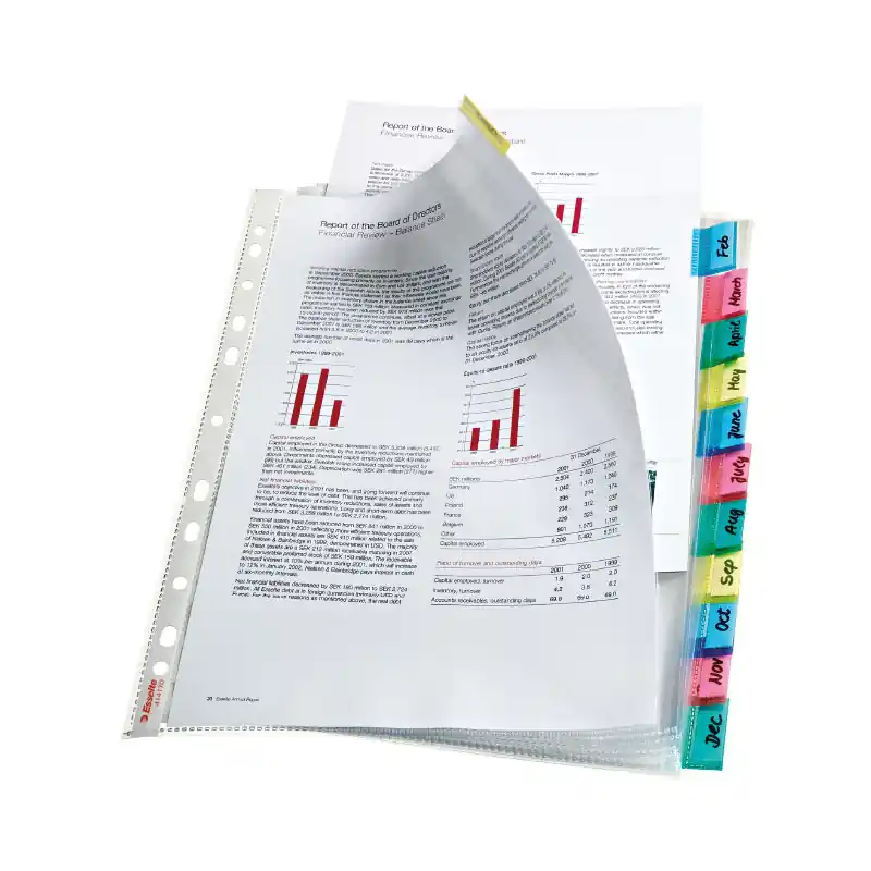 PACK 12 FUNDAS ESSELTE CON PESTAÑA 12 POSICIONES Devolución Gratuita