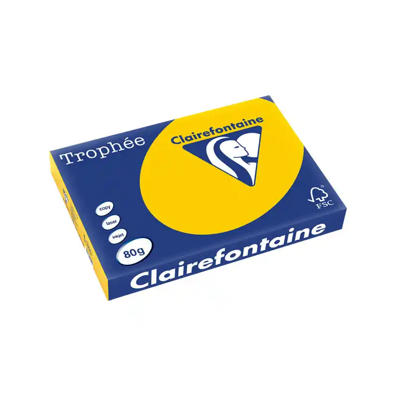 Solo Hoy PAQUETE 500h PAPEL TROPHÉE CLAIREFONTAINE A3 PASTEL - Ocre claro