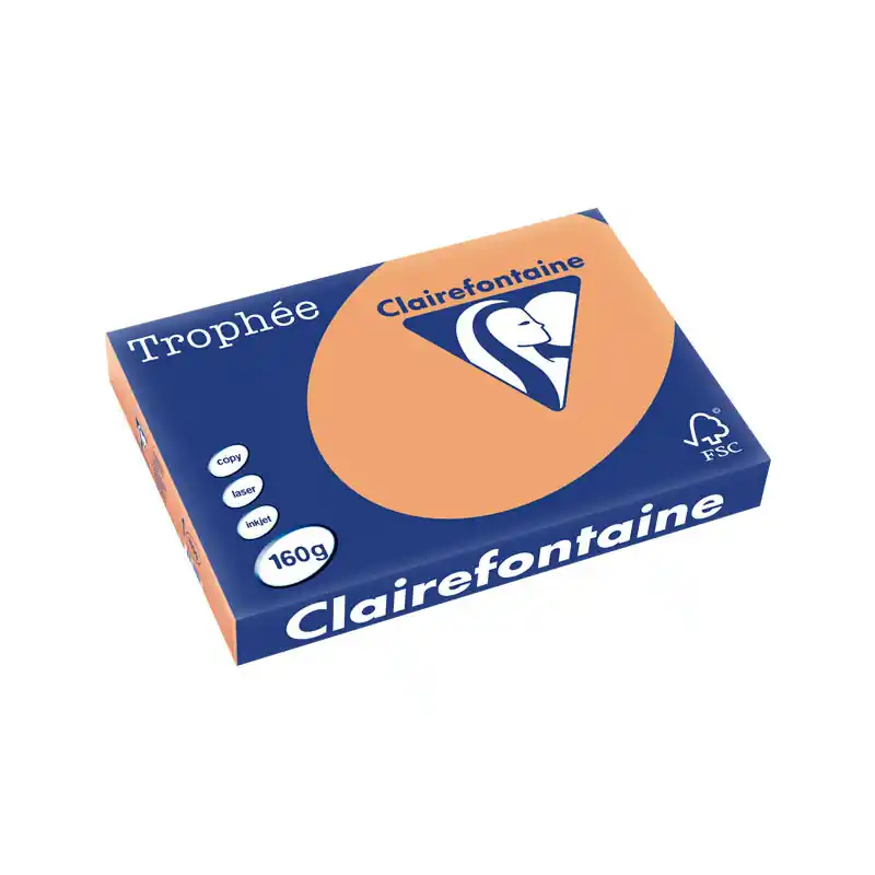 PAQUETE 250h PAPEL TROPHÉE CLAIREFONTAINE 160gr A3 PASTEL - Marrón caramelo Envío Gratis