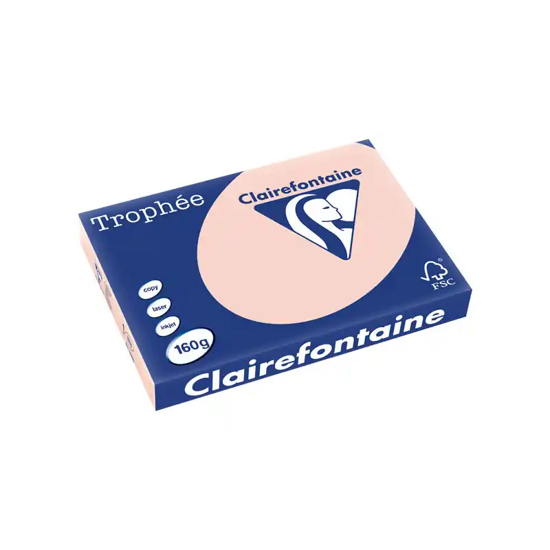 Bestseller PAQUETE 250h PAPEL TROPHÉE CLAIREFONTAINE 160gr A3 PASTEL - Carne