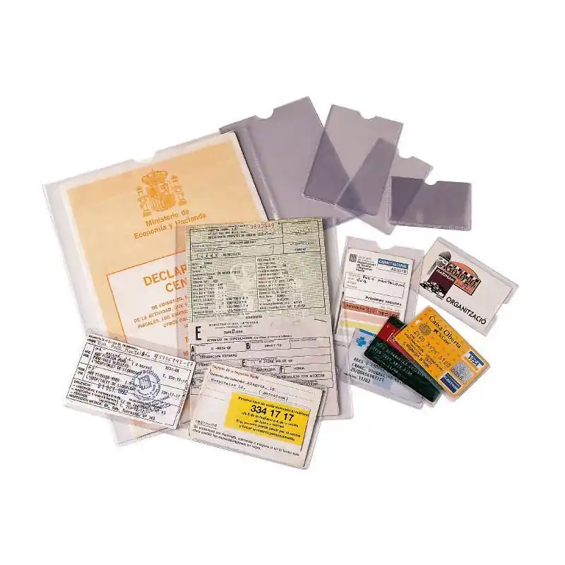 Precio Económico CAJA 100 PORTACARNETS ESSELTE 458x326mm DOBLES