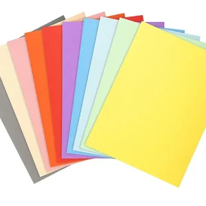 No Te Lo Pierdas Subcarpetas 250 gr surtido Exacompta Foldyne (100 unidades)