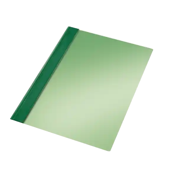 Carpeta Dossier Fastener Pvc Esselte Folio Verde Mejor Calidad