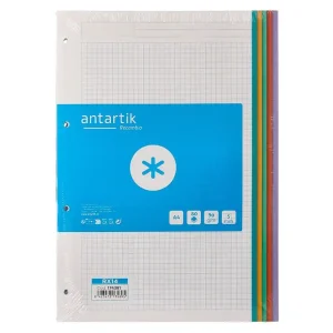 Recambio antartik A4 80 hojas 90gr cuadro 5 mm 4 taladros bandas de 5 colores pasteles Descuento