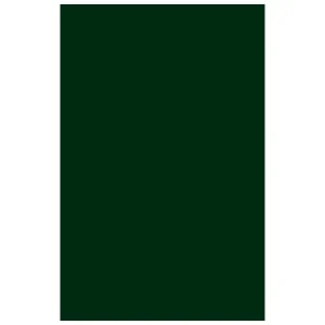 Pedido Al Por Mayor CANSON Cartulina IRIS 50 Hojas A4 Verde abeto 185gr 200040173