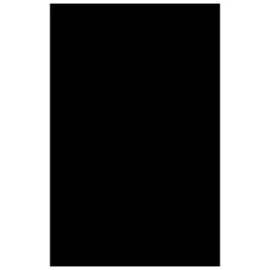 Máxima Calidad CANSON Cartulina 50 Hojas A4 Negro 185 g 200040179