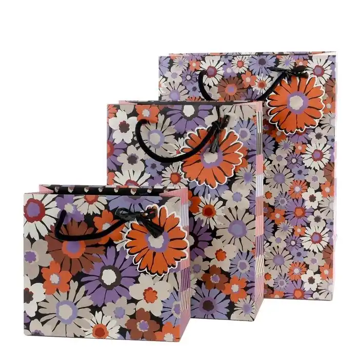 Bolsa de Regalo 30 X 22 X 11 cm Imprescindible (Must-Have)