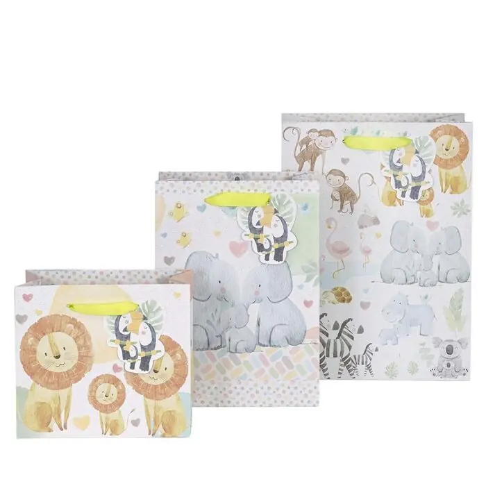 PromociÃ³n Exclusiva Bolsa de Regalo 18 X 16 X 8 cm