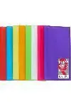 Artesanal Carpeta 40 Fundas Poliplas Pp Translucido Folio Fucsia