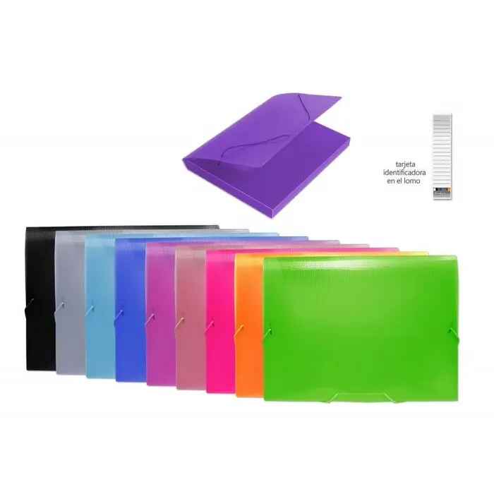 Carpeta Proyectos 2,5 cm A4 con Gomas Colorline Surtidas Oferta