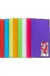 Últimas Unidades Carpeta 20 Fundas Poliplas Pp Translucido Folio Azul Soft