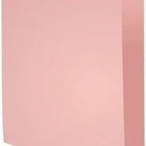 Subcarpeta Exacompta Forever 220 220G A4 Rosa Paquete de 100 Alta Calidad