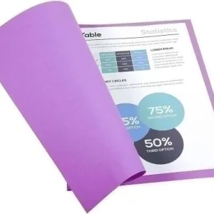 Alta Calidad Subcarpeta Exacompta Forever 180 170G A4 Violeta Paquete de 100