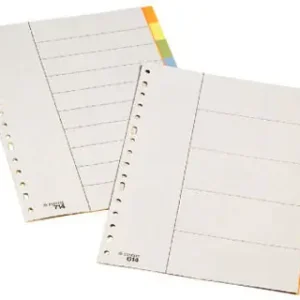 Separador Esselte Polipropileno Juego de 10 Separadores Folio Multitaladro Certificado