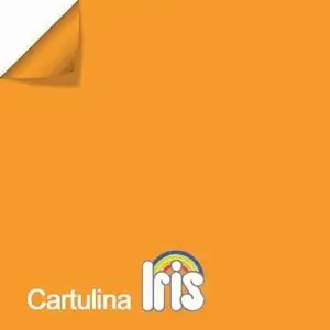 Cartulina Canson A3 Naranja 185 Gr Paq 50 ud Envío Exprés