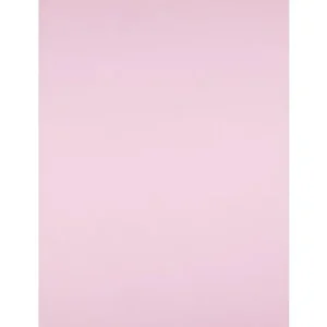 Cartulina Canson 50X65 185 Gr Rosa Palido Envío Gratis
