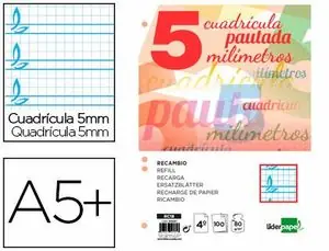 Precio De Fábrica Recambio Liderpapel Cuarto Pautaguia 100 Hojas 80 G Cuadriculado Pautado 5 mm con Margen 6 Taladros