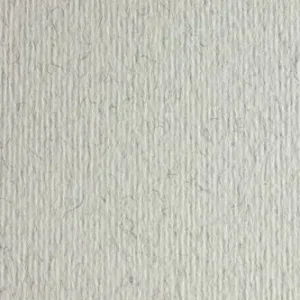 Alta Calidad Cartulina Lisa/rugosa 2 Texturas 50X70 cm 220 Gr Gris