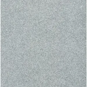 Devolución Gratuita Cartulina Purpurina 50 X 65 cm 330 Gr Plata