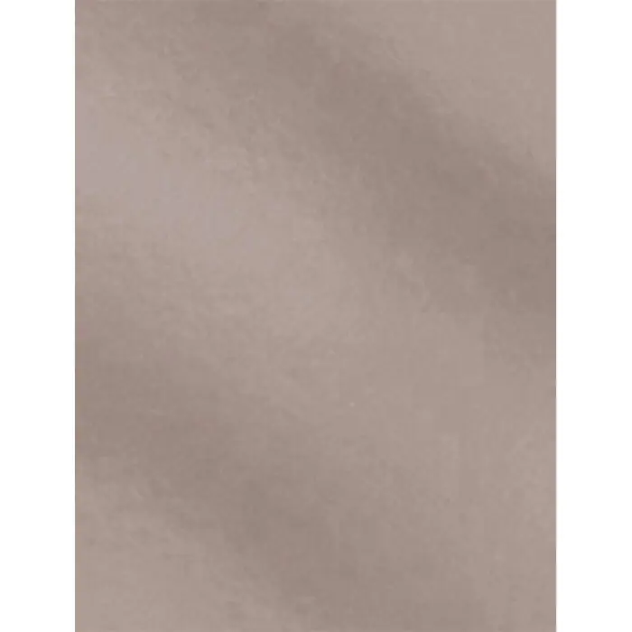 Cartulina Campus College Metalizado 500 X 650 mm. 250G. Plata Nuevo Modelo