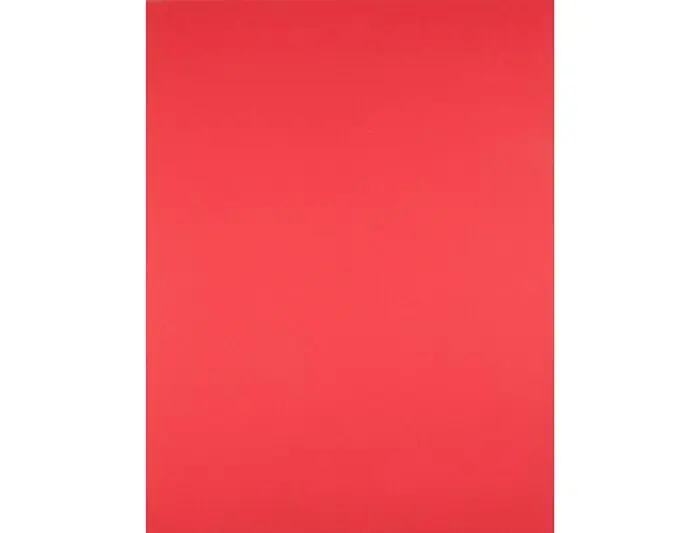Cartulina Rojo 50X65 180 Gr Imprescindible (Must-Have)