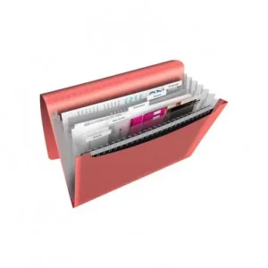 Última Versión ESSELTE CARPETA ACORDEÓN COLOUR BREEZE 6 SEPARADORES CORAL 628447