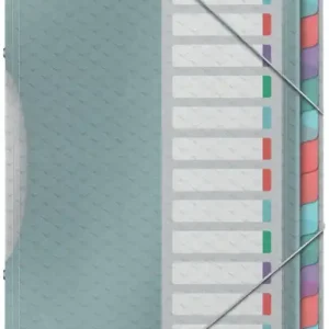 Envío Gratis ESSELTE CARPETA CLASIFICADORA A4 COLOUR BREEZE 12 POSICIONES COLORES 626256