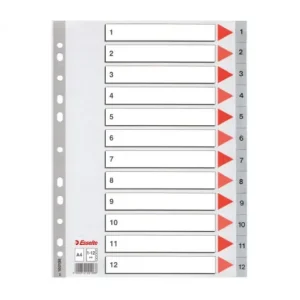 ESSELTE INDICE POLIPROPILENO A4 1-12 CON CARATULA GRIS - 100106 Tendencia