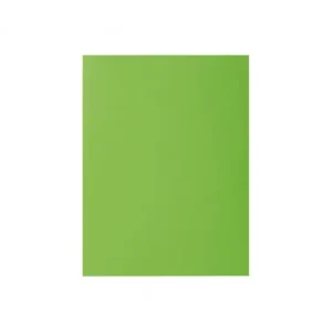 Precio De Fábrica EXACOMPTA 100 SUBCARPETA A4 ROCKS PAPEL 80G.VERDE MEDIO - 800013E