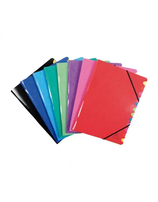 Nuevo Modelo EXACOMPTA 8 CLASIFICADOR IDERAMA A4 12 SEPARADORES SURTIDO - 541229E