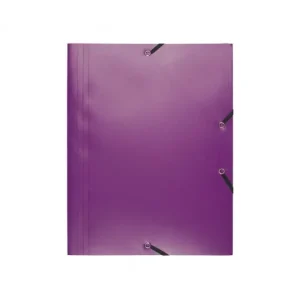 EXACOMPTA CARPETA GOMAS Y SOLAPA POLIPROPILENO LISO MALVA - 55918E Bestseller