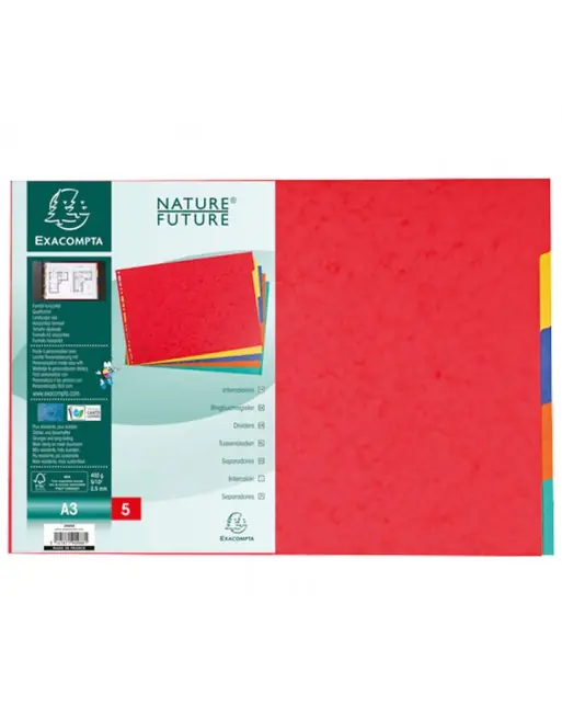 EXACOMPTA JUEGO SEPARADORES A3 5 POSICIONES - 2905E Última Oportunidad