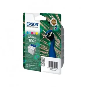 Oferta Flash EPSON INKJET COLOR ORIGINAL - C13T00101110