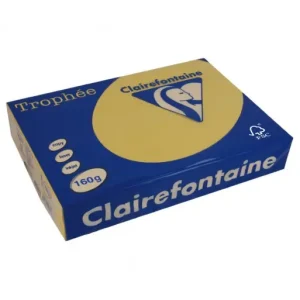 No Te Lo Pierdas CLAIREFONTAINE PACK 250H PAPEL DE COLOR TROPHEE A4 160G OCRE CL - 1103C