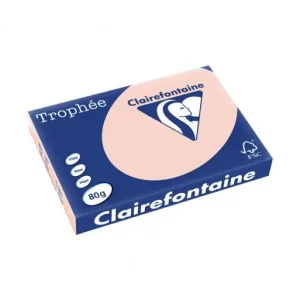 CLAIREFONTAINE PACK 500H PAPEL DE COLOR TROPHEE A3 80G CARNE - 1892C Compra Ahora