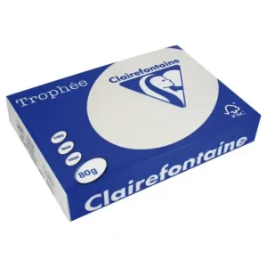 Garantía De Devolución De Dinero CLAIREFONTAINE PACK 500H PAPEL DE COLOR TROPHEE A4 80G GRIS - 1993C